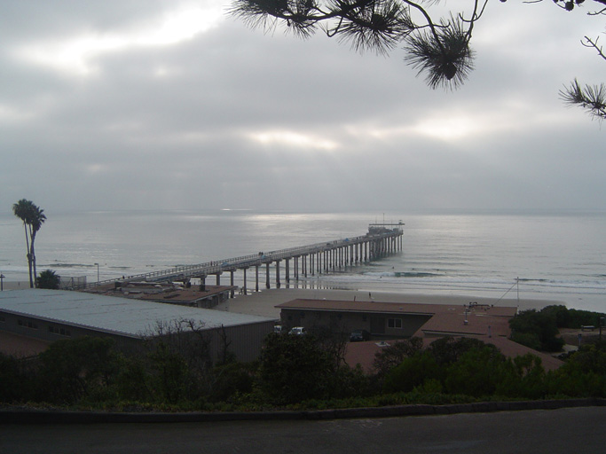scripps
